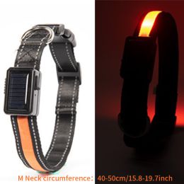 Solar And USB Rechargeable Light Up Pet Collar Waterproof LED Dog & Cat Collars For Night Walking (Color: Orange)