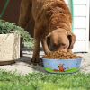 Multi Print Stainless Steel Dog Bowl By Bella N Chaser