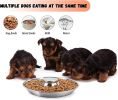 Stainless Steel Non-Slip Rubber Bottom Puppy Dog Bowl Easy to Clean Multi-Dog Feeding Bowl (3.6-4.7 Cup)